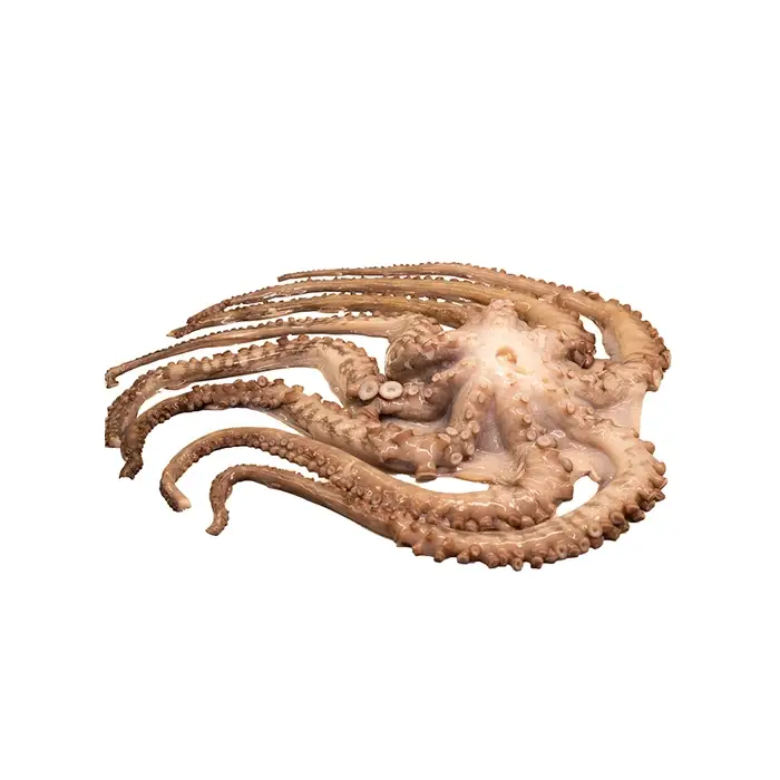 Осьминог, 2–3 кг