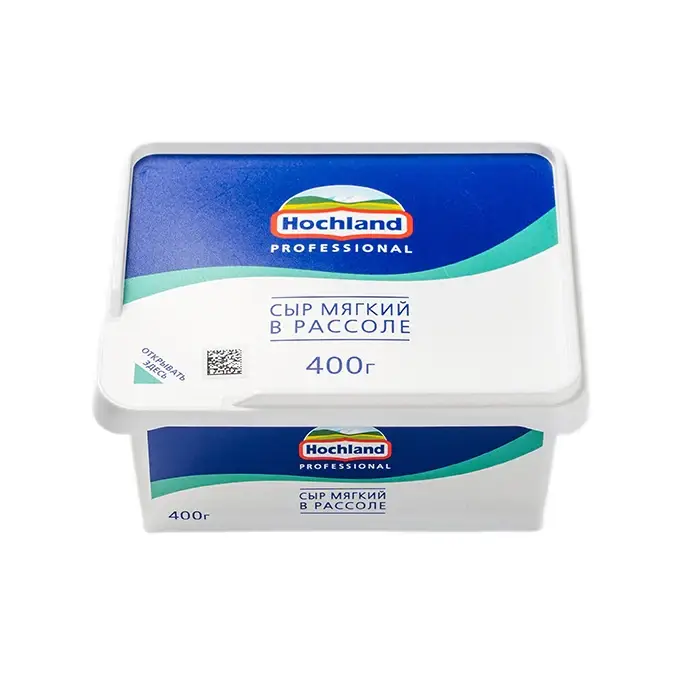 Сыр мягкий рассольный 45% Hoсhland Professional, 480 г