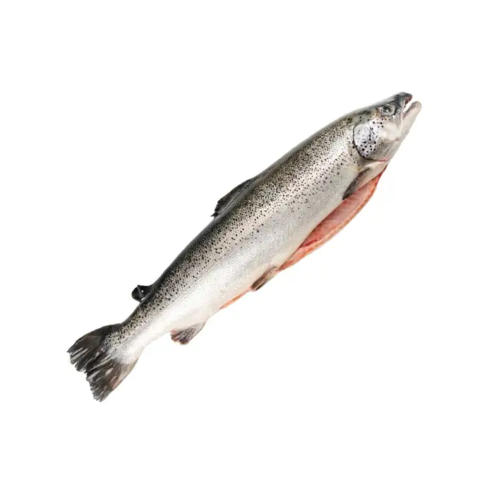 Семга (премиум), 5–6 кг