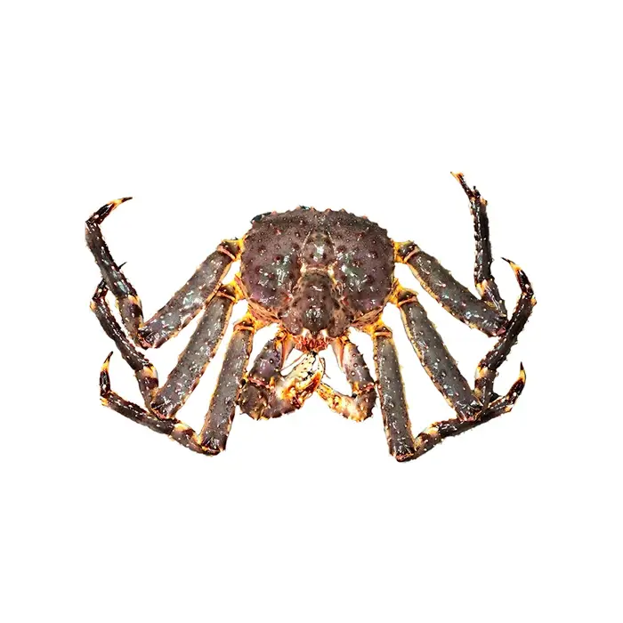 Краб Камчатский в панцире, 2–3 кг